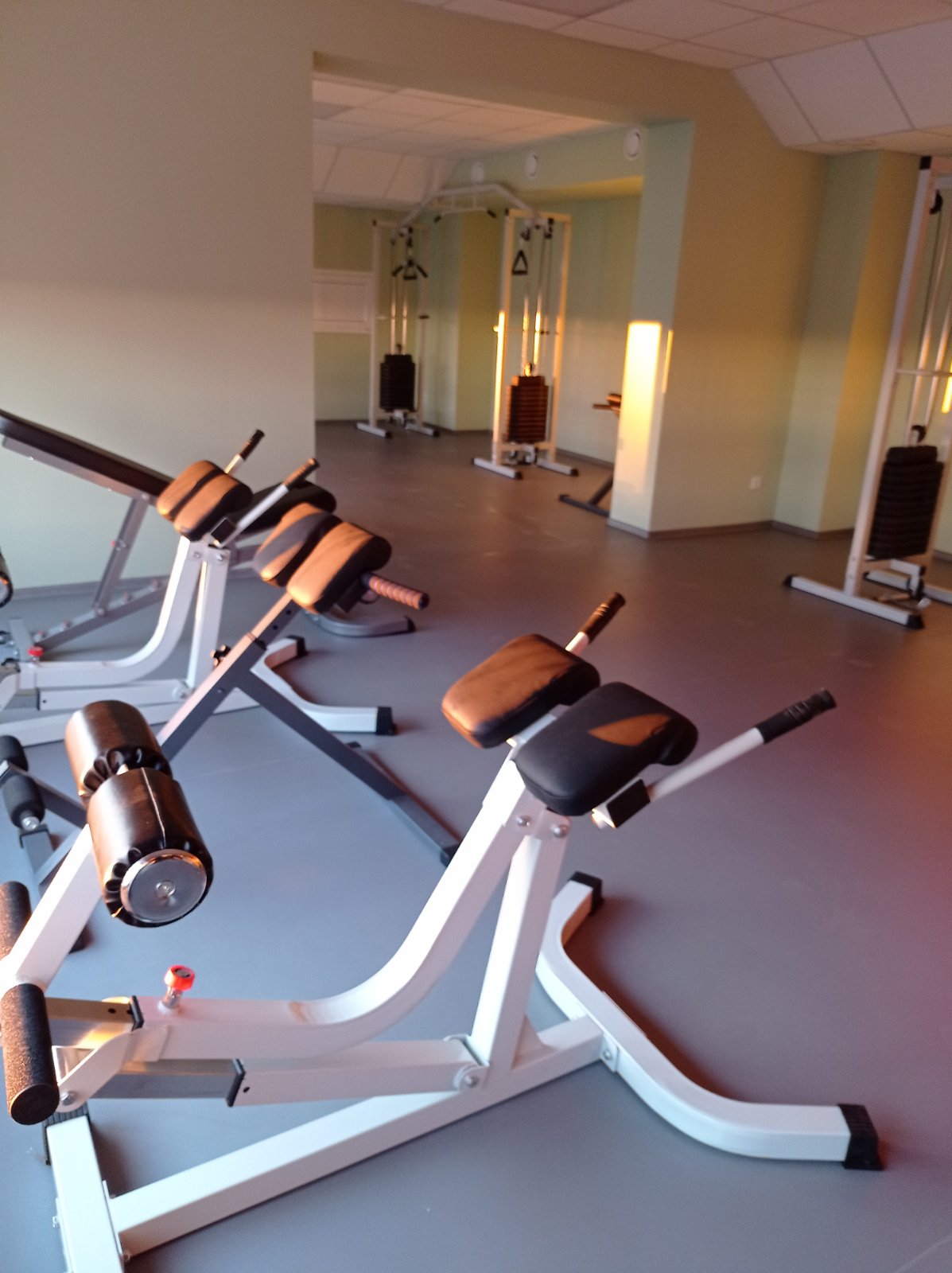 IMG d15b8051b6d935a125c27353b847f68c V